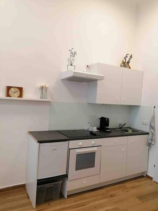 Feine Direkt Am Yppen- Und Brunnenmarkt Appartement Wenen